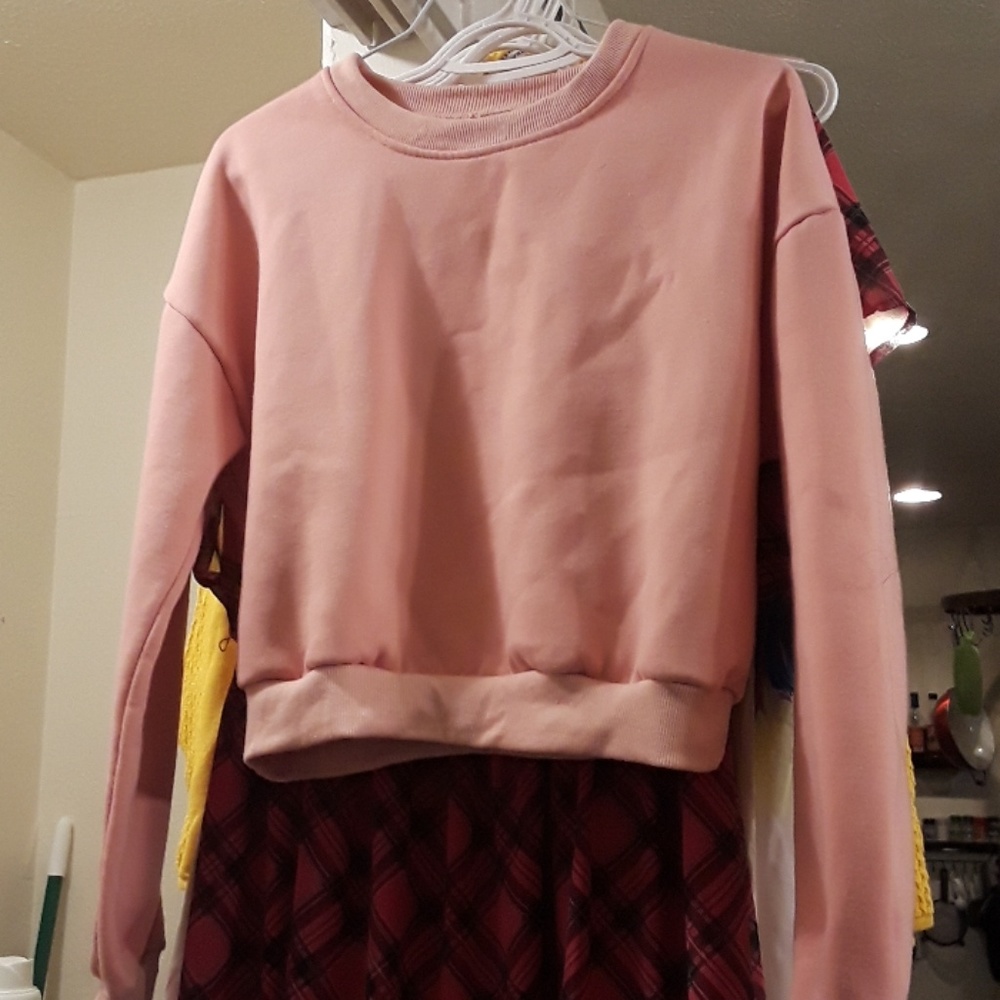 Pink F21 Crop Crew Sweater